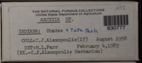 Image Associated With the Occurence